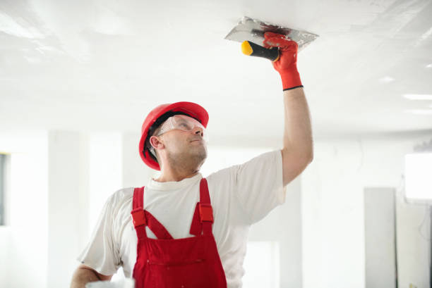 Best Fire-Damaged Drywall Repair  in Trenton, NJ